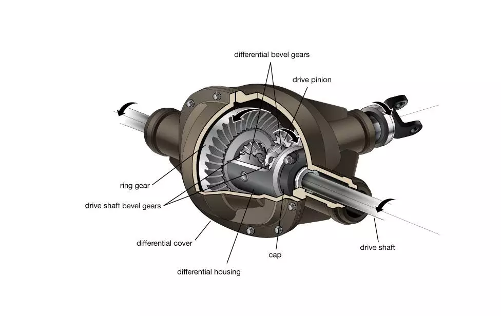 Differential System